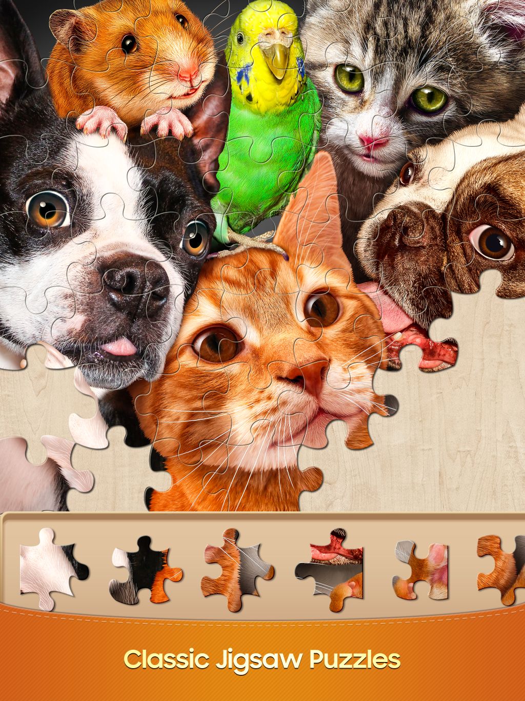 Puzzle Game Screenshot 1